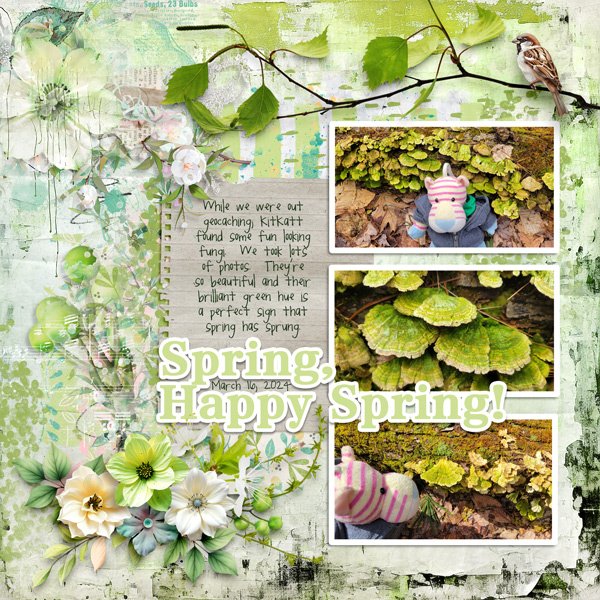 Spring-Fling-KitKatt-Found-Fungi.jpg