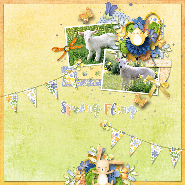 Spring Fling