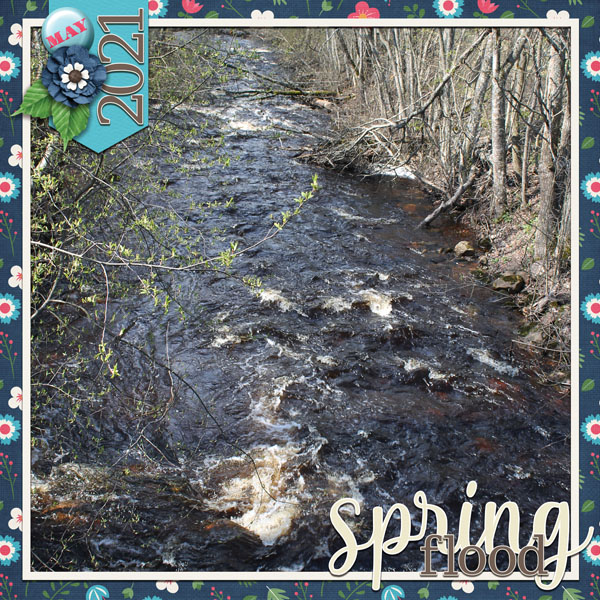 Spring Flood