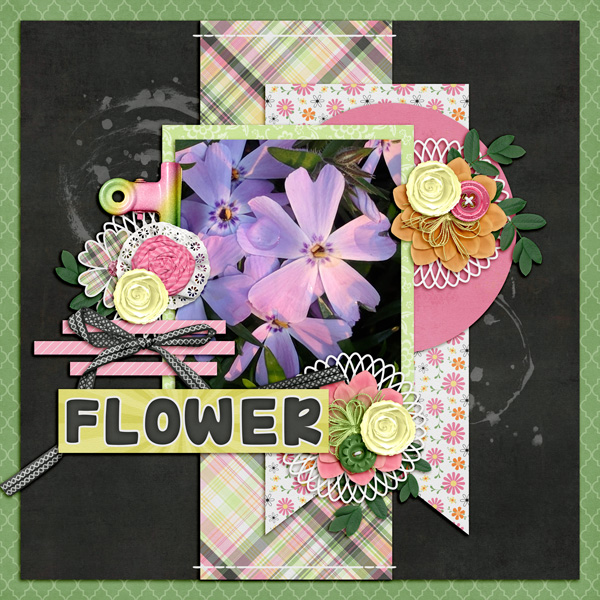 Spring Flower