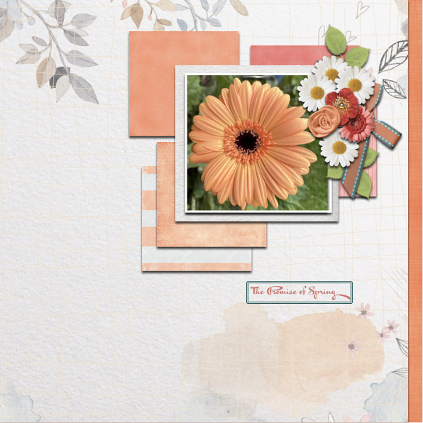Spring Flower