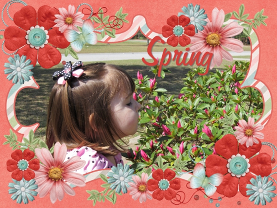 Spring Flowers 2013