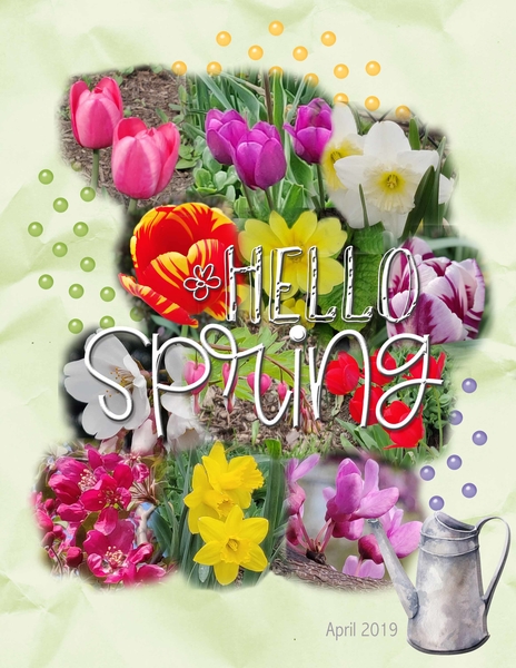Spring Flowers 2019