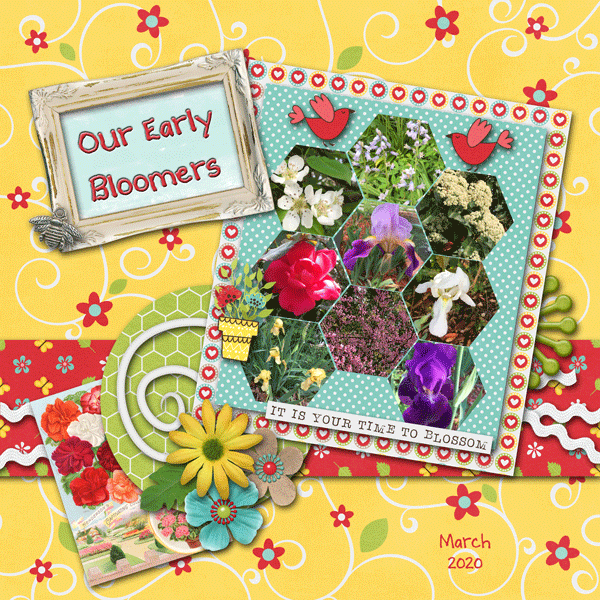 Spring Flowers 2020