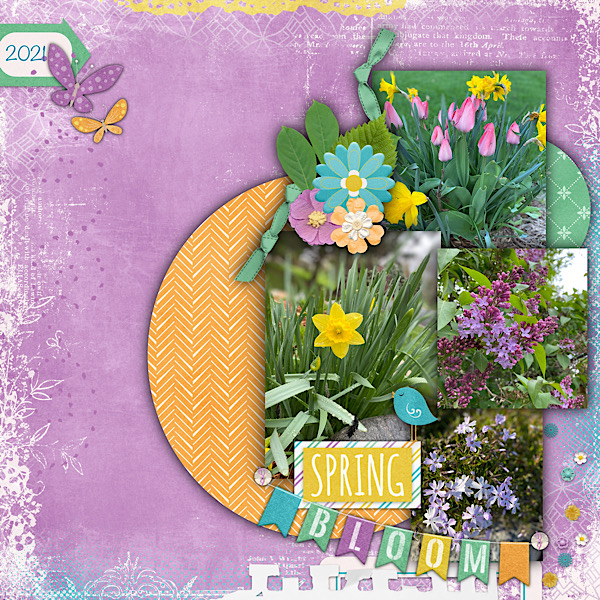 Spring Flowers 2021