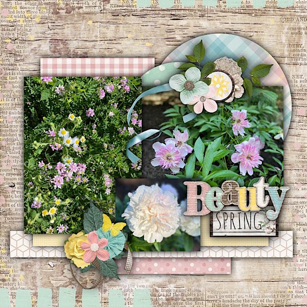 Spring Flowers 2021