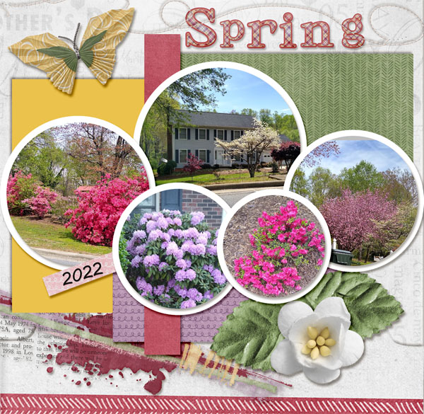 Spring Flowers 2022