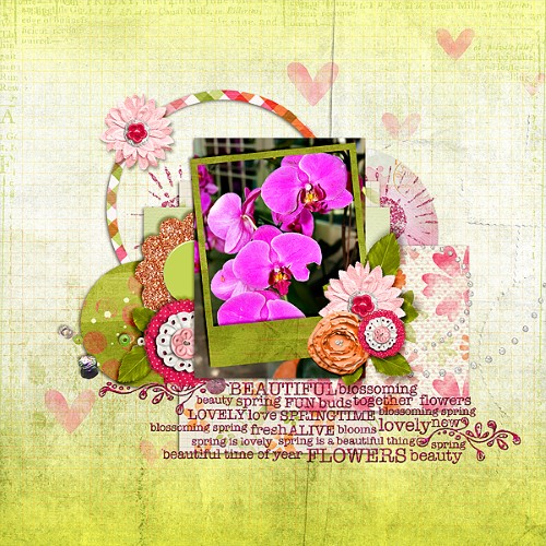 Spring Flowers Bloom