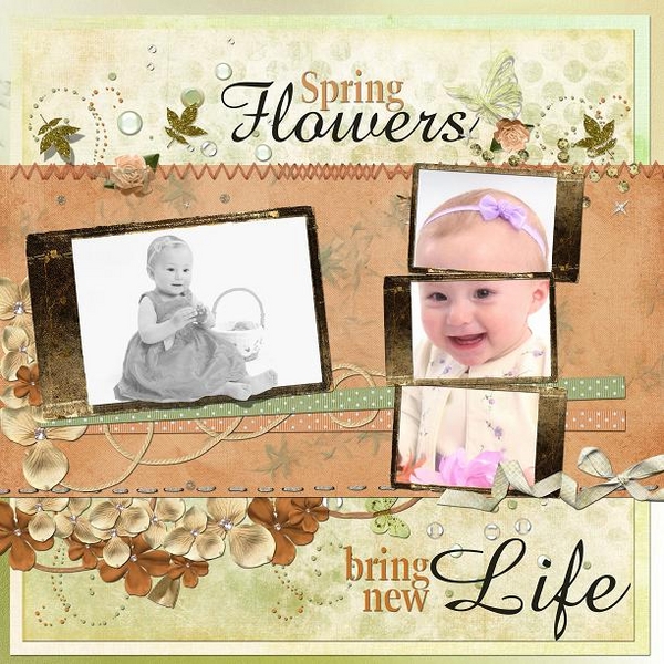 Spring Flowers Bring New Life