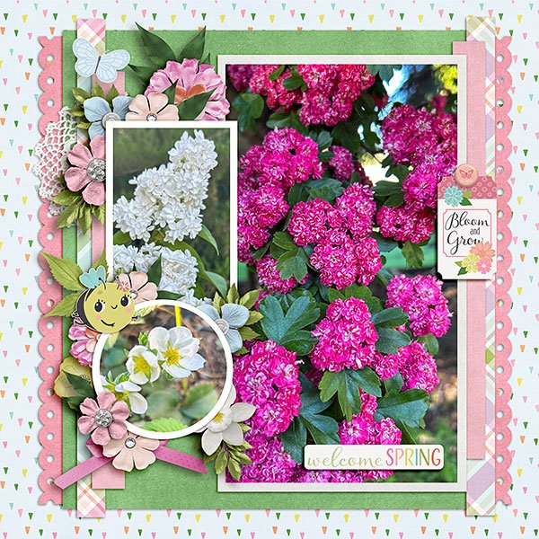 Spring-Flowers.jpg