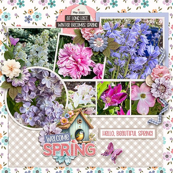 Spring-Flowers.jpg