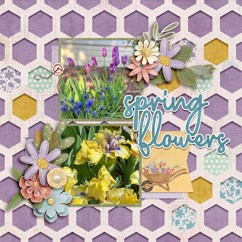 Spring-Flowers.jpg
