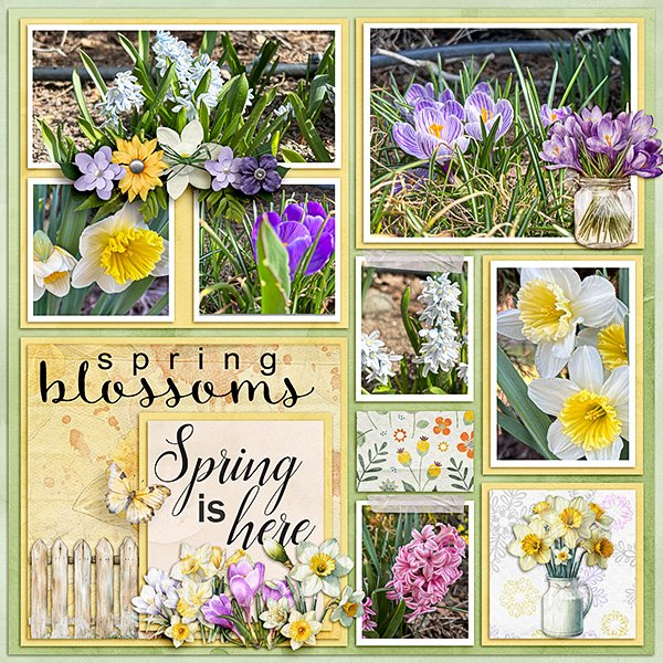 Spring-Flowers.jpg