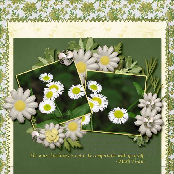 Spring Flowers