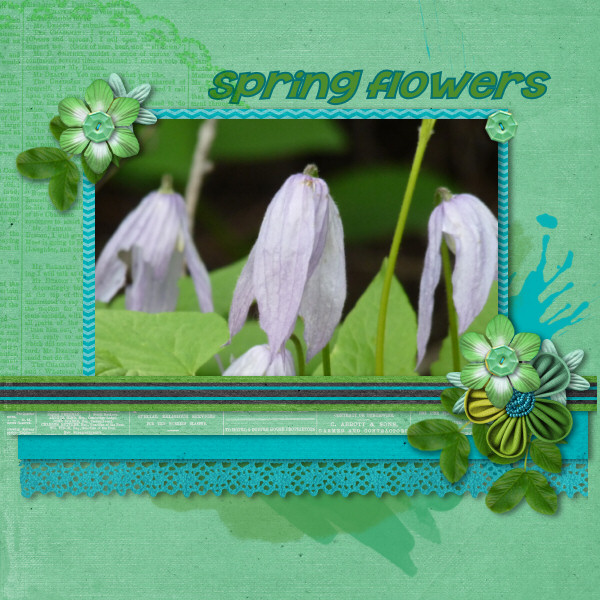Spring Flowers