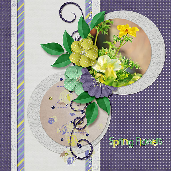 Spring Flowers