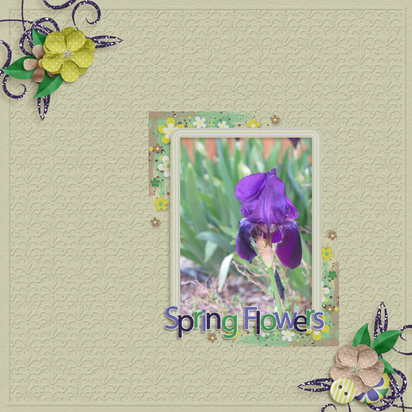 Spring Flowers