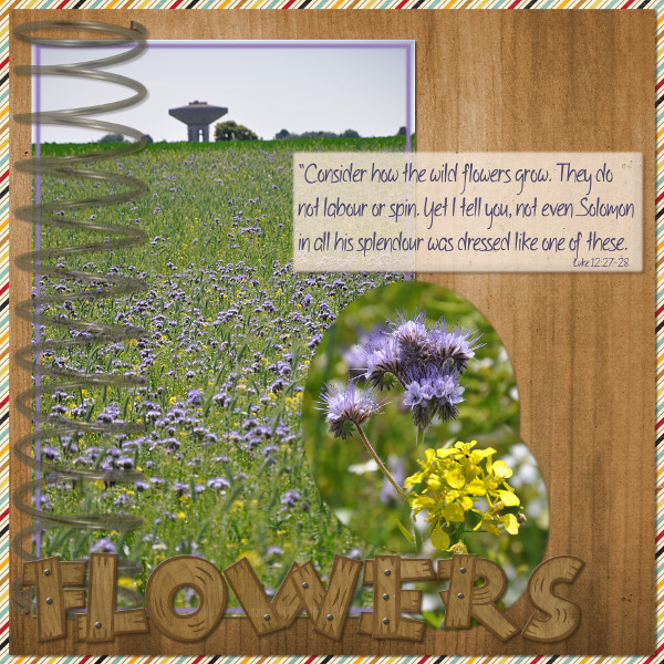 Spring Flowers