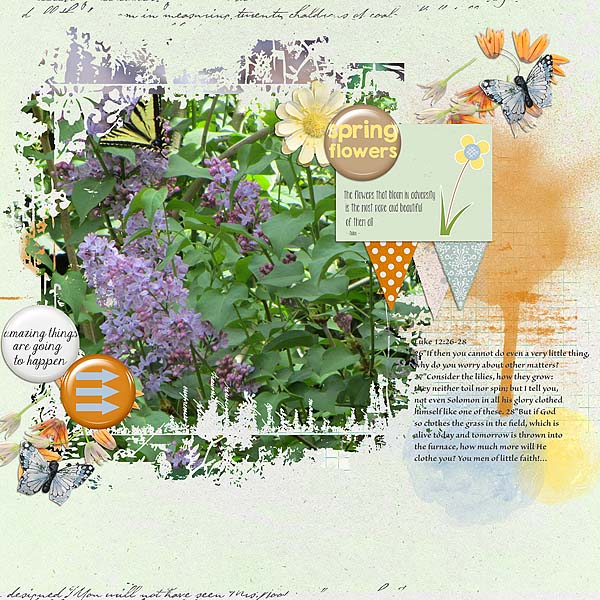 Spring Flowers
