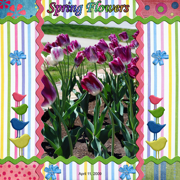 Spring Flowers