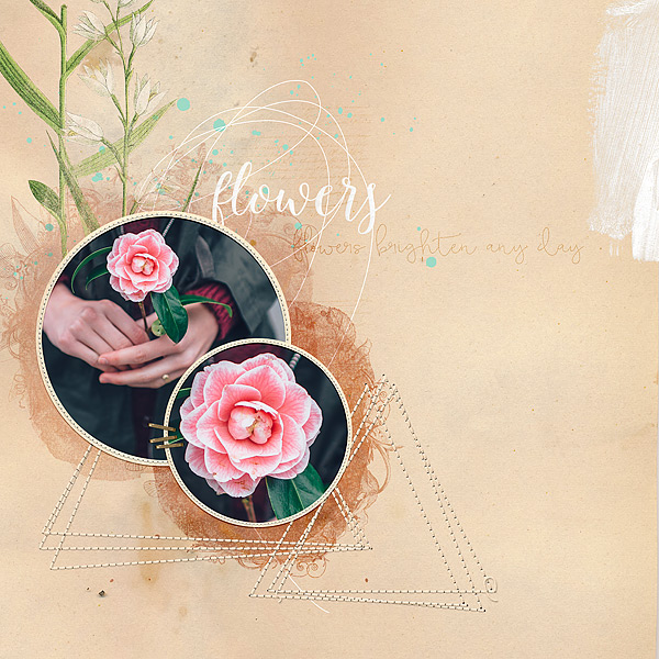 Spring FLowers