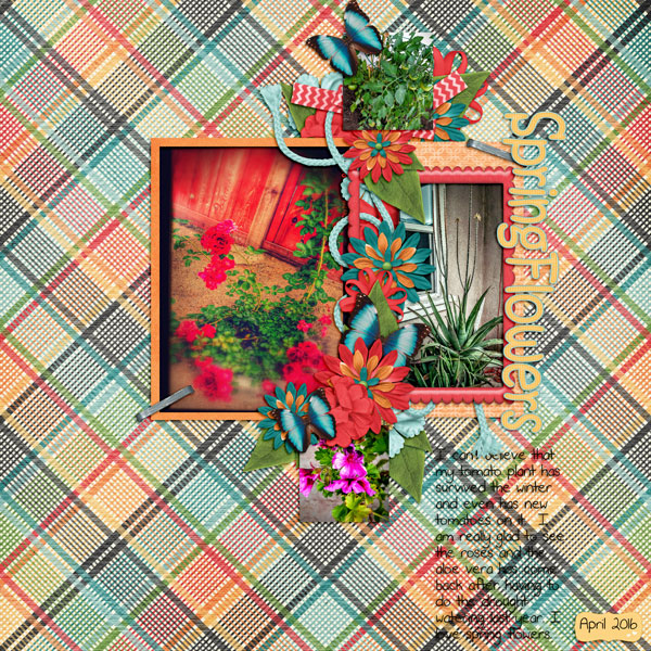 Spring flowers