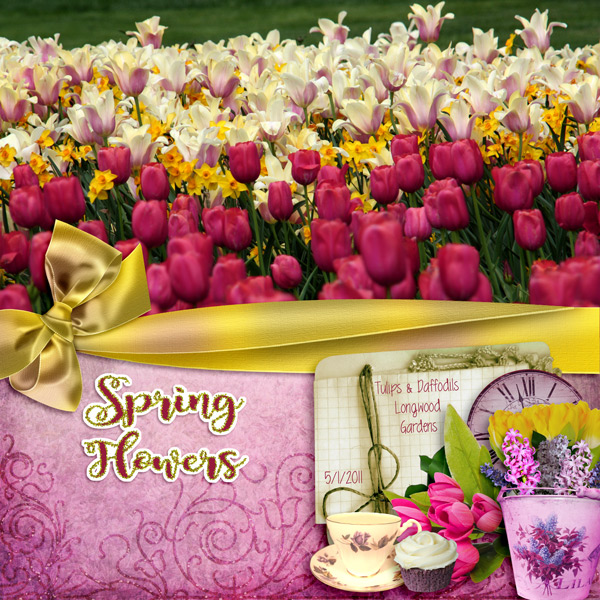 Spring flowers