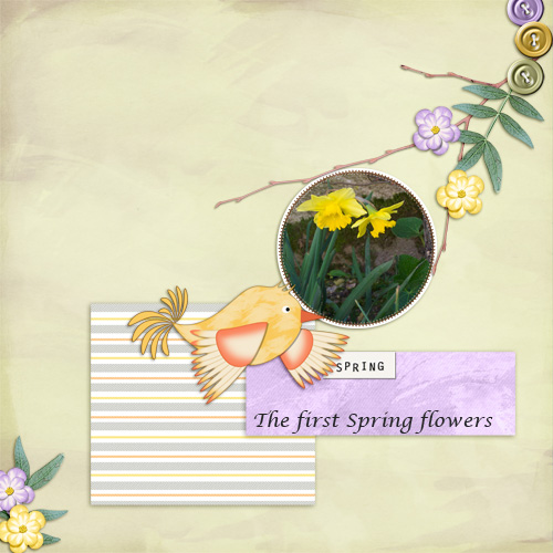 Spring Flowers