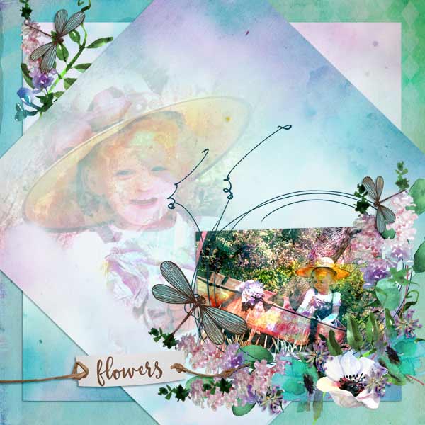 Spring Flowers