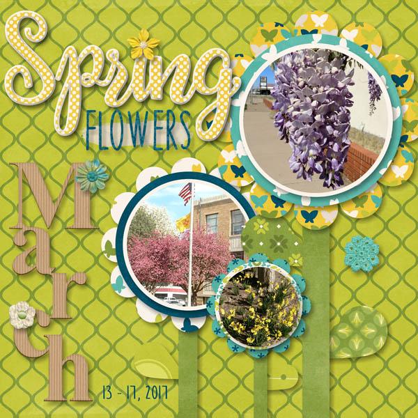 Spring Flowers