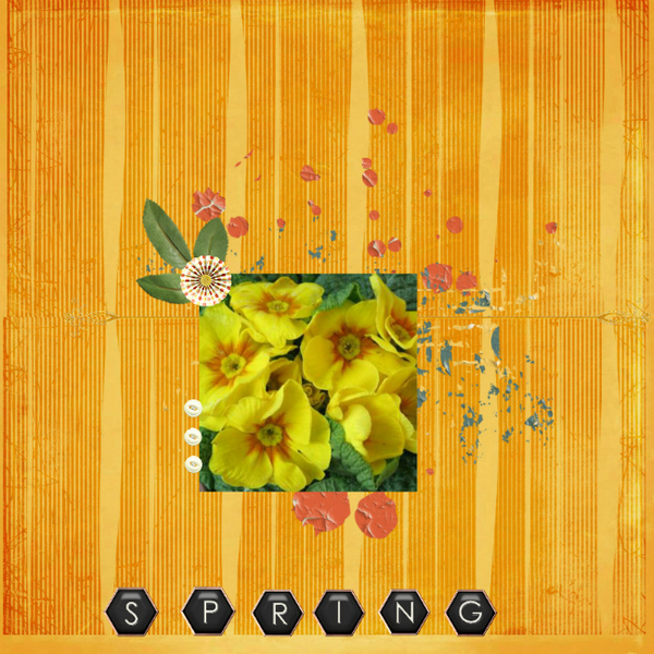 Spring flowers