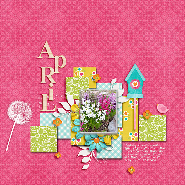 Spring Flowers