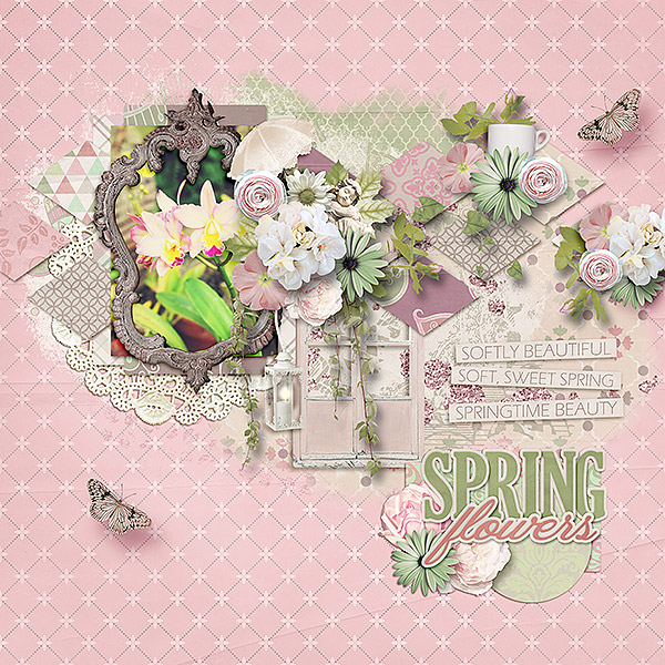 Spring Flowers