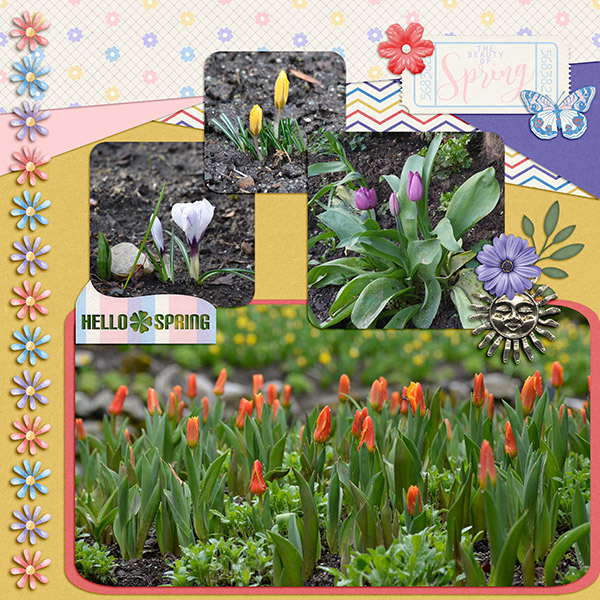 Spring Flowers