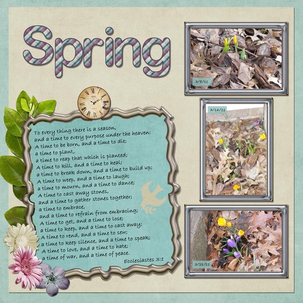Spring Flowers