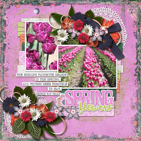 Spring Flowers