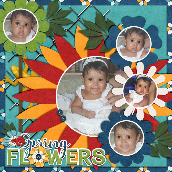 Spring Flowers