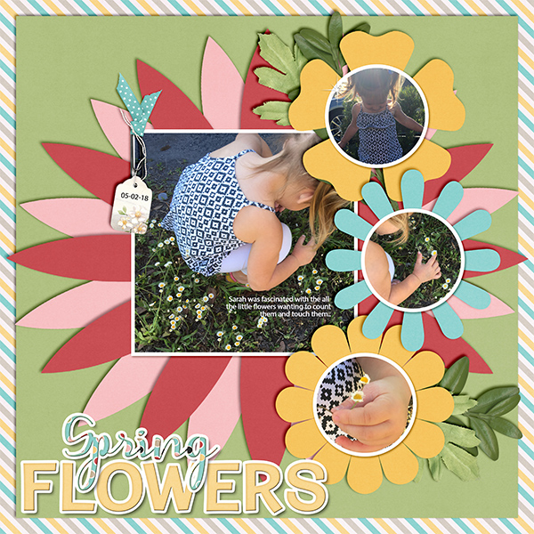 Spring Flowers