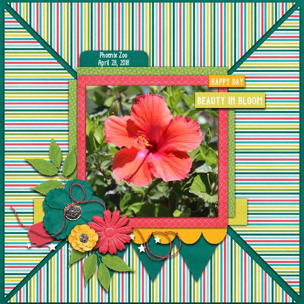 Spring Flowers