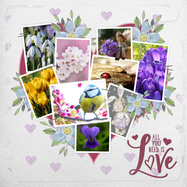 Spring Flowers