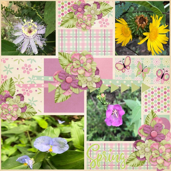 Spring Flowers