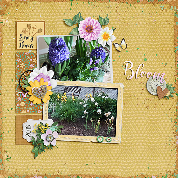 Spring Flowers