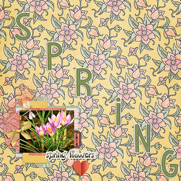 Spring Flowers