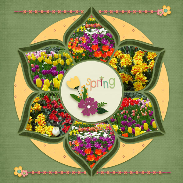 Spring Flowers