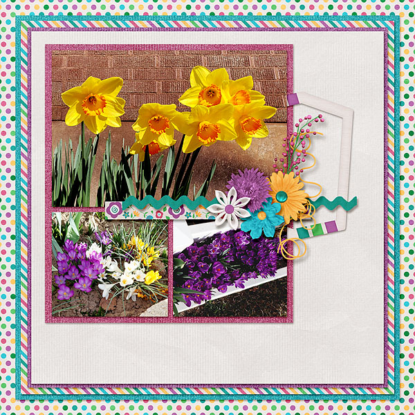 Spring Flowers