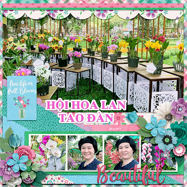 Spring flowers