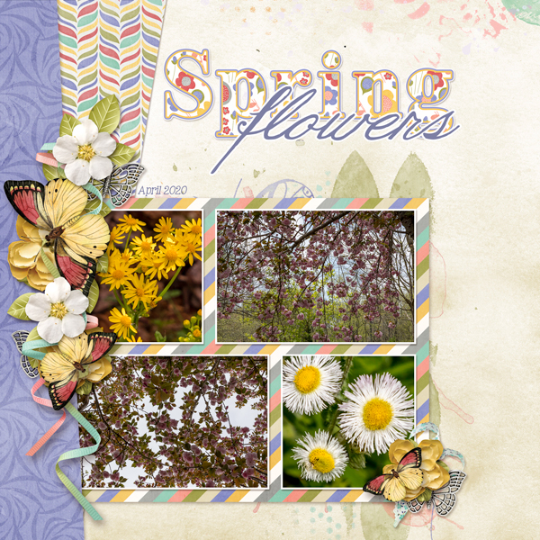 Spring Flowers