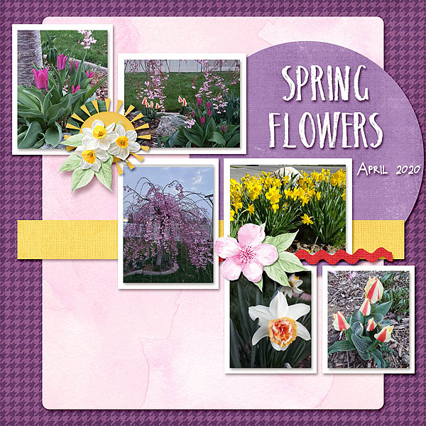Spring Flowers