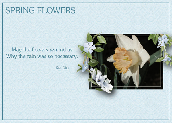 Spring Flowers