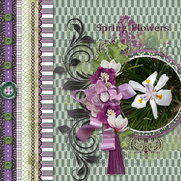 Spring Flowers